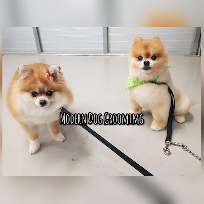 Modern Dog Grooming