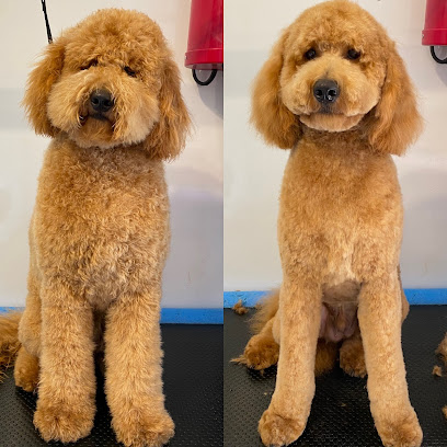 Cuddly canines pet care