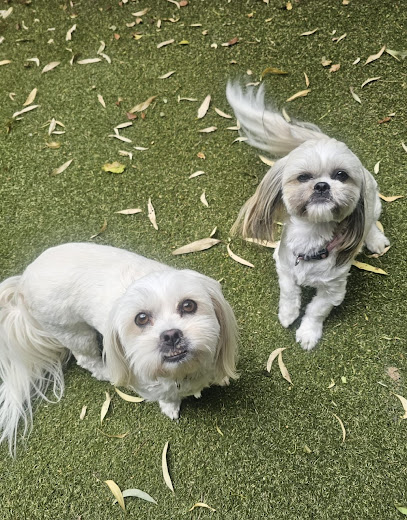 Dogs and Mogs Pet Boarding