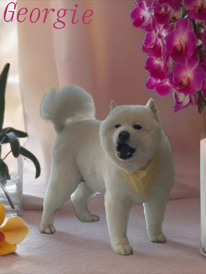 LEASH DOG GROOMING