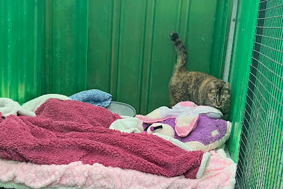 Canterbury Tails Boutique Boarding Cattery