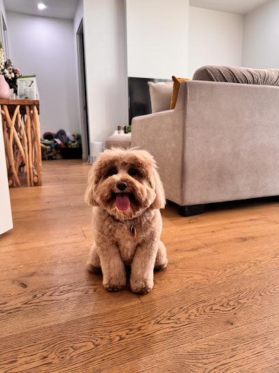 Bubble’s Dog Salon