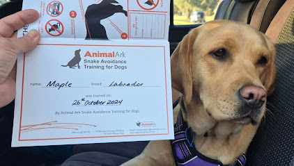 Animal Ark Snake Avoidance Training for Dogs