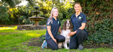 Hedgegrove Pet Retreat