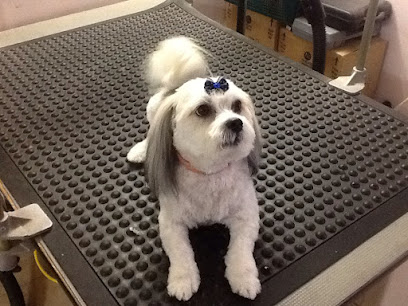 Trendy Canine Cuts