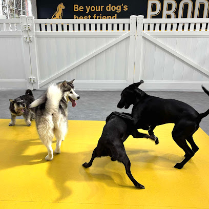 Pro Dog: Glen Waverley