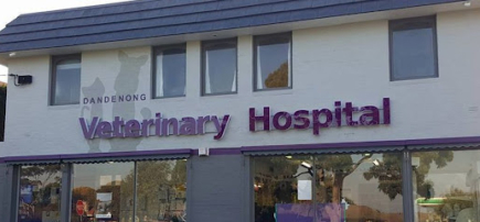 Dandenong Veterinary Hospital