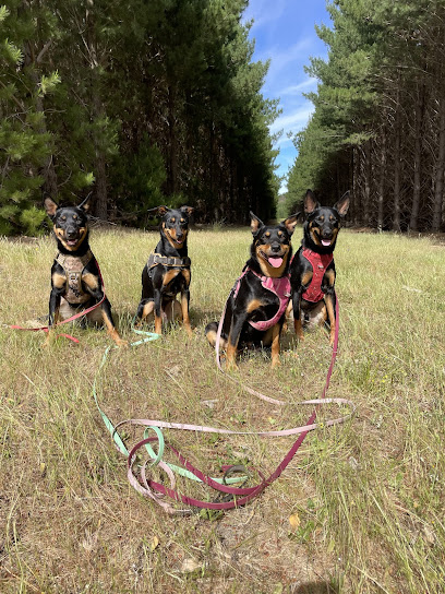 A.L.E Canine Services