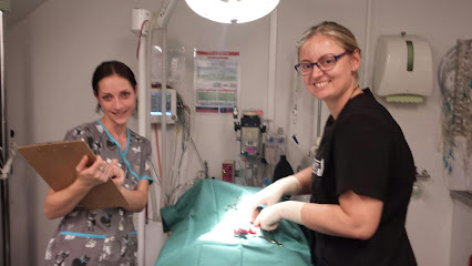 Direct Vet Services