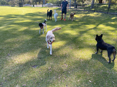 Southside Dog School