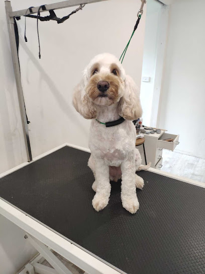 DG Pet Grooming