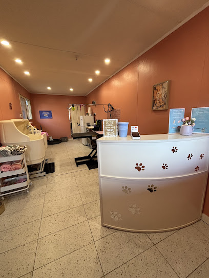Pawlished Pups Dog Spa & Grooming
