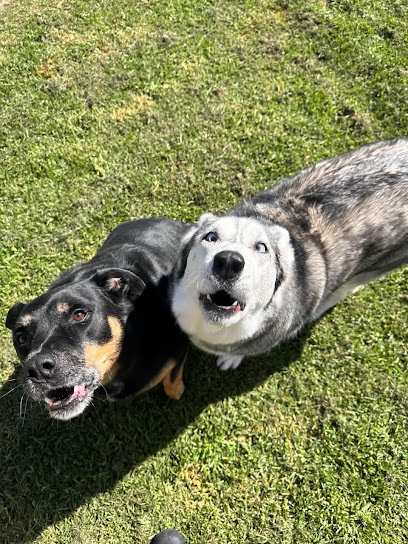 Beaconsfield-Berwick Pet Resort