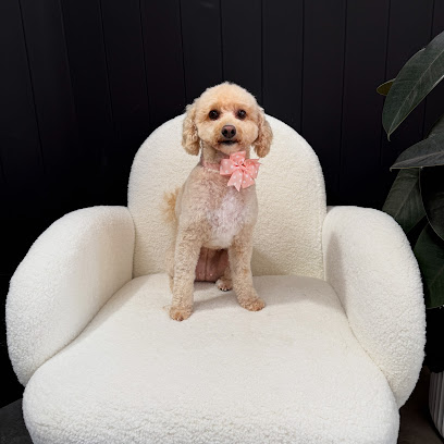 Fresh Paws Co
