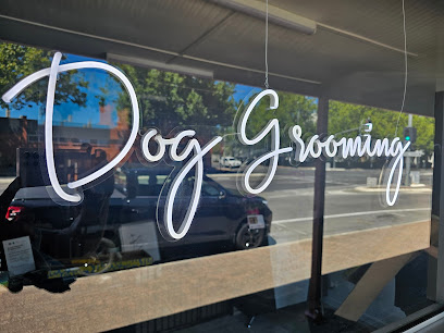 Paws On Bradman Dog Grooming