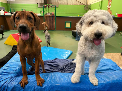 Billy’s Day-Care for Dogs