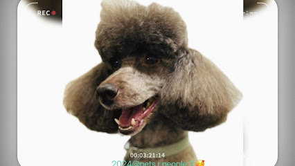 Pets R People 2 Dog Grooming