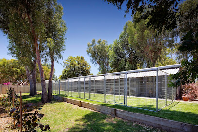 Matison Manor kennels & Cattery
