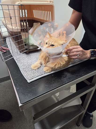 Kingsway Veterinary Centre