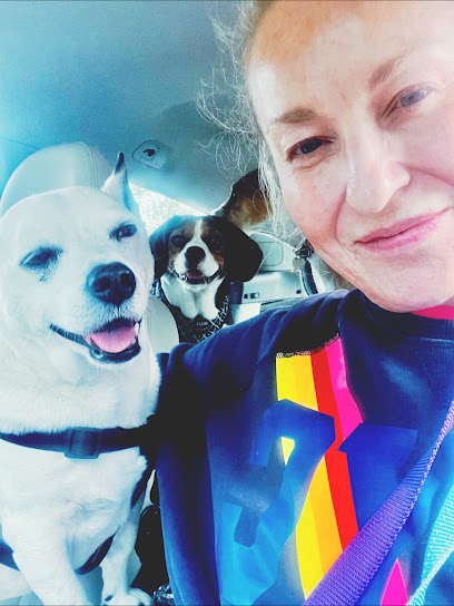 Doggy Dailys – Walks & Boarding