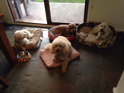 Caulfield Veterinary Hospital