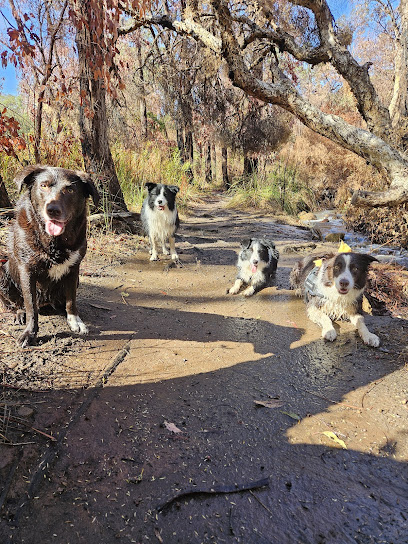 Duggies Pet Services