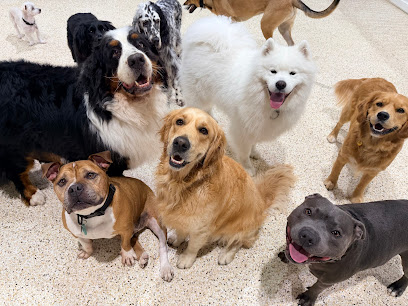 Houndz Paradise Doggy Daycare & Grooming