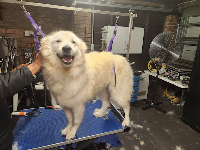 K9 Clippers Dog Grooming