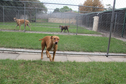 Danzalin Boarding Kennels & Cattery