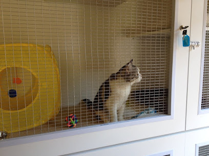 Blue Print Studios Cat Boarding
