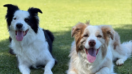 Best Mate Services