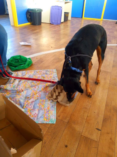 Fur & Paws Dog Training