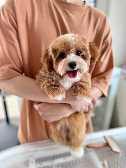 onetruething pet grooming