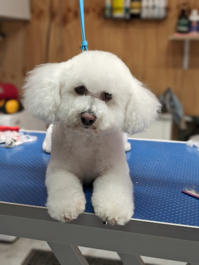 Furworx pet grooming