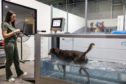 Victorian Veterinary Rehabilitation Centre