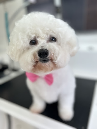 Groomed by Stella