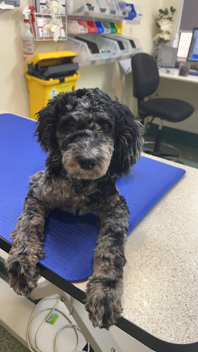 Vets4Pets Golden Grove Emergency Veterinary Hospital
