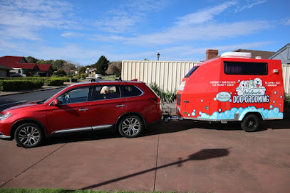 Adelaide Dog Grooming