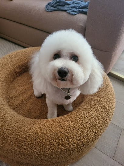 Jurassic Bark Doggy Daycare & Grooming