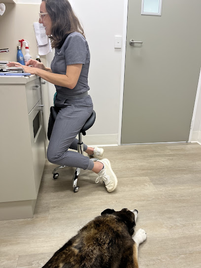 Pack & Clowder Vets