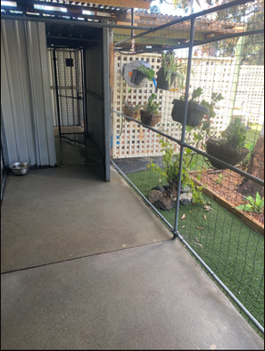Pinjar Pet Lodge and Grooming