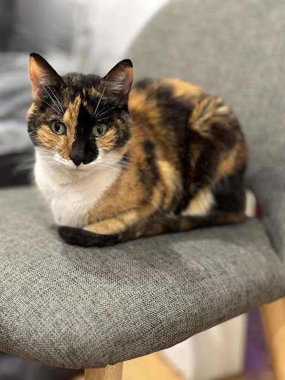 Glen Osmond Veterinary Clinic