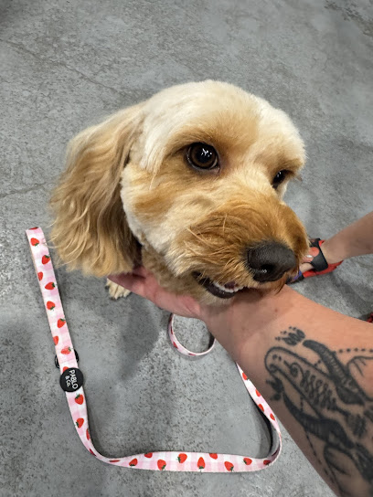 Hope’s Dog Grooming