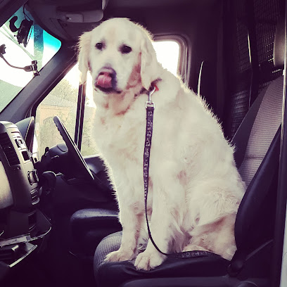Wagging Tails- Mobile Dog Grooming AU