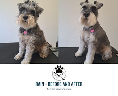 Dee Shed – Dog Grooming