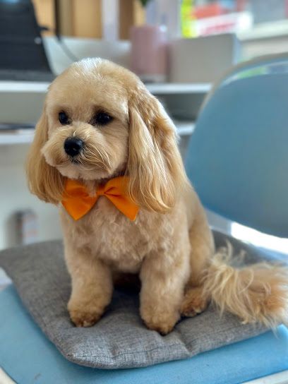 Loving Lather – Dog grooming