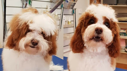Dog Grooming By Jacqui