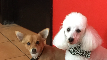 Hairy Hounds Dog Grooming Salon