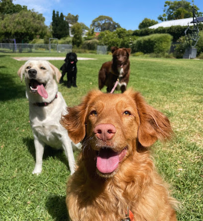 The Happy Dog Club Co