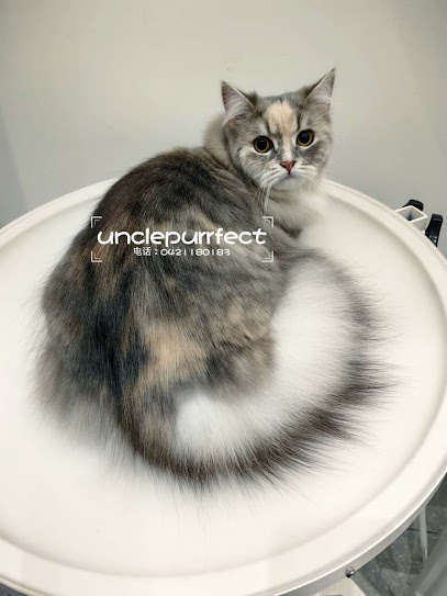 Uncle Purrfect (Dog and Cat Grooming Salon)